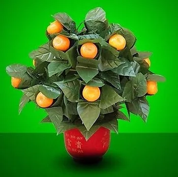 15 Cvetenja Pomaranče - Daljinski Upravljalnik -- Magic Trick , Faza Magic