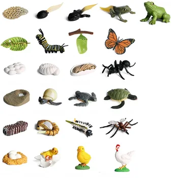 Rast Cikel Modela Simulacije Živali V otroških Vrtcih PVC Živali figuric-Igrač otroška Božična Darila